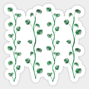 Monstera Vine Pants Sticker